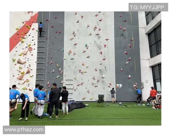 重庆攀岩队边路渗透战术分析及其在比赛中的优缺点探讨